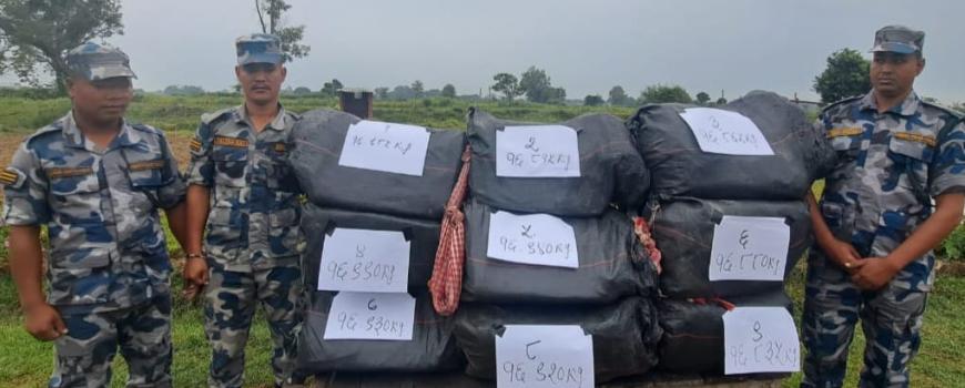 सशस्त्र प्रहरीको सक्रियता बढ्दै, सिरहाको झाझपट्टीबाट १५२ किलो गाँजा बरामद